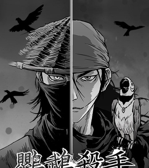 鹦鹉杀手封面